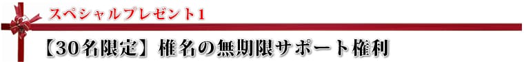 椎名の無期限サポート権利